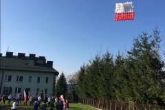 Narodowe Święto Niepodległości (24)