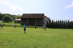 IMG_8263