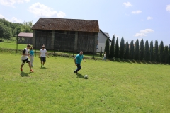 IMG_8320