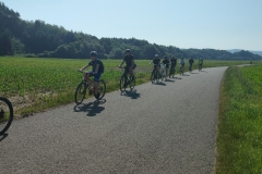 IMG_20250618_083752